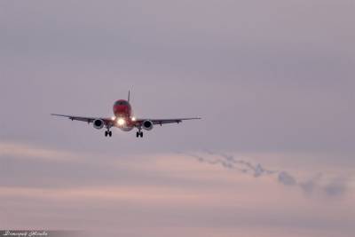 Red Wings свяжет Ульяновск с Москвой и Екатеринбургом - ulpravda.ru - Москва - Екатеринбург - Ульяновск