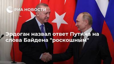 Владимир Путин - Реджеп Тайип Эрдоган - Тайип Эрдоган - Джо Байден - Эрдоган назвал ответ Путина на слова Байдена "роскошным" - ria.ru - Турция - Анкара