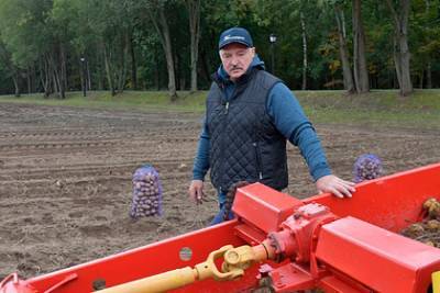Владимир Путин - Александр Лукашенко - Лукашенко рассказал о выборе вкусных подарков для Путина - lenta.ru - Сочи