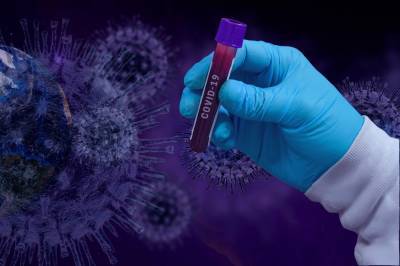 В ВОЗ исключили лабораторную версию происхождения коронавируса - neva.today - Санкт-Петербург - Ухань