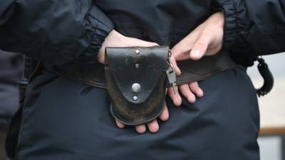 Ирина Волк - Полиция задержала подозреваемых по делу о крупном хищении в ПАО «Россети» - 5-tv.ru