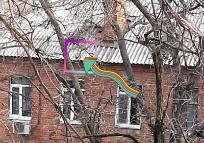 Голуби-киллеры готовят покушение на ростовчан в центе города - privet-rostov.ru
