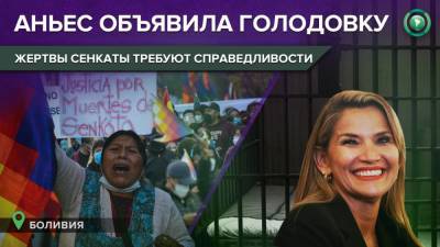 Аньес Жанин - Экс-президент Аньес объявила голодовку на фоне непрекращающихся митингов в Боливии - riafan.ru - Боливия