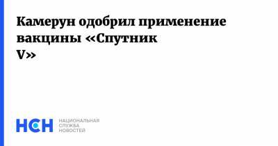 Кирилл Дмитриев - Камерун одобрил применение вакцины «Спутник V» - nsn.fm - Филиппины - Камерун