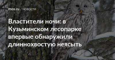Властители ночи: в Кузьминском лесопарке впервые обнаружили длиннохвостую неясыть - mos.ru - Москва