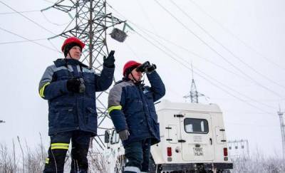 «Россети Тюмень» вложат более 200 млн рублей в распределительные сети юга Тюменской области - news.megatyumen.ru - Тюмень - Тюменская обл.