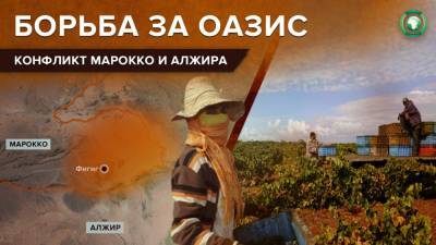 Спор за финиковый оазис: как Алжир выгоняет марокканцев из района Фигиг - riafan.ru - Алжир - Алжирская Народная Демократическая Республика - Марокко - Рабат