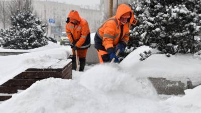 Петр Бирюков - Городские службы Москвы уже начали готовиться к следующей зиме – Бирюков - m24.ru - Москва