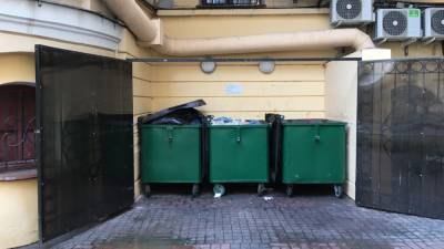 Наталья Соколова - Эколог рассказал, какой мусор опасно выбрасывать в контейнер рядом с домом - nation-news.ru