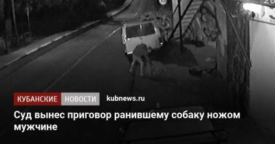 Суд вынес приговор ранившему собаку ножом мужчине - kubnews.ru - Сочи - Краснодарский край