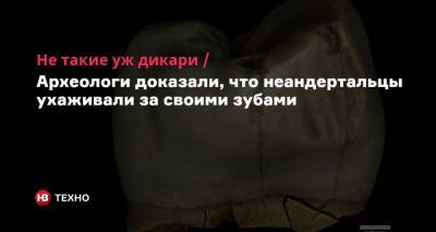 Не такие уж дикари. Археологи доказали, что неандертальцы ухаживали за своими зубами - nv.ua