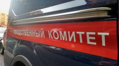 СК допросил подозреваемого в убийстве нижегородской семьи мигранта - newinform.com - Нижегородская обл. - Владимирская обл.