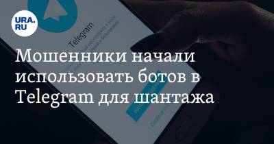 Алексей Дрозд - Мошенники начали использовать ботов в Telegram для шантажа - ura.news