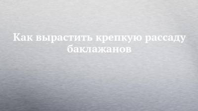 Как вырастить крепкую рассаду баклажанов - chelny-izvest.ru