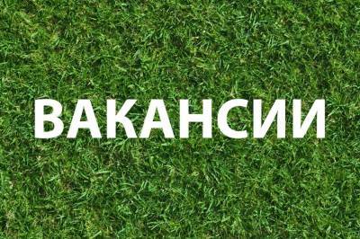 Работа в Ульяновской области есть! Как трудоустроиться далеко от Ульяновска - ulpravda.ru - Ульяновск - Ульяновская
