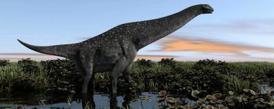 В Южной Америке нашли самого древнего титанозавра - runews24.ru