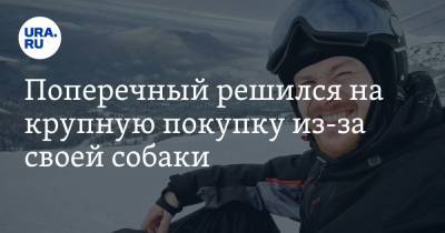 Данил Поперечный - Поперечный решился на крупную покупку из-за своей собаки - ura.news
