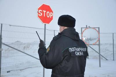 В Смоленской области за сутки задержали более 220 нарушителей режима госграницы - rabochy-put.ru - Московская обл. - Смоленская обл.