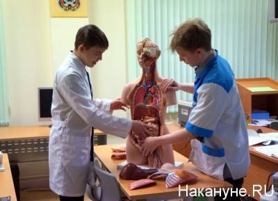 "Зачем учить специалиста четыре года?": в колледжах сократят специальности и время учебы - nakanune.ru