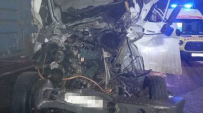 Под Воронежем в ДТП с тремя большегрузами погибли два человека - vestivrn.ru - Воронеж