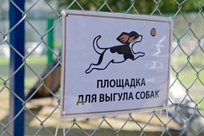 Евгений Моисеев - Жители Железноводска определяют места выгула собак - kavkaz.mk.ru - Железноводск