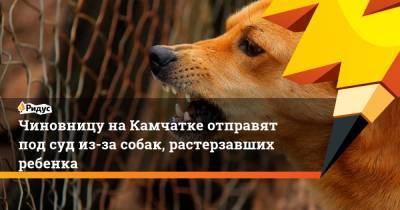 Сергей Коньков - Чиновницу наКамчатке отправят под суд из-за собак, растерзавших ребенка - ridus.ru - Петропавловск