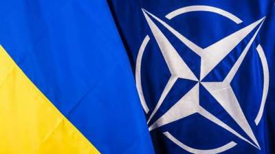 Виталий Музыченко - Украина усилит сотрудничество с трастовым фондом НАТО - lenta.ua - Украина