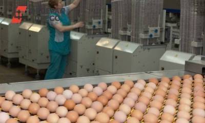 Яйца, деньги и скандалы: чем живет крупнейшая тюменская птицефабрика - smartmoney.one - Тюмень - Тюменская обл.