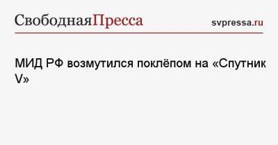 МИД РФ возмутился поклёпом на «Спутник V» - svpressa.ru - Москва - Голландия