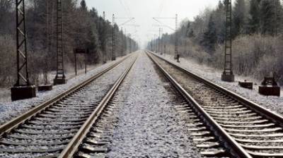 На станции Леонидовка житель Заречного попал под поезд - penzainform.ru - район Пензенский
