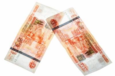 Фальшивую пятитысячную купюру изъяли в псковской организации - mk-pskov.ru - Псковская обл. - Псков