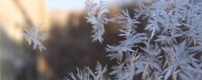 В горных районах Приморья сегодня ночью ожидаются морозы до -36°С - runews24.ru - Приморье край