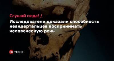 Слушай сюда! Исследователи доказали способность неандертальцев воспринимать человеческую речь - nv.ua - Испания - шт. Нью-Йорк