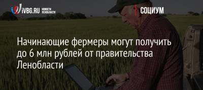 Начинающие фермеры могут получить до 6 млн рублей от правительства Ленобласти - ivbg.ru - Ленинградская обл. - Санкт-Петербург