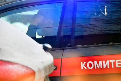 Студентка устроила стрельбу из пневматики в российском колледже - lenta.ru - Благовещенск