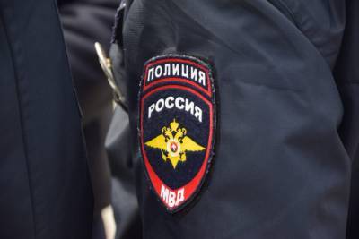 Ирина Волк - В Домодедово задержали мужчину, подозреваемого в продаже марихуаны под видом чая - runews24.ru - Московская обл. - респ. Хакасия