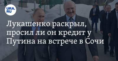 Владимир Путин - Александр Лукашенко - Ли Он - Лукашенко раскрыл, просил ли он кредит у Путина на встрече в Сочи - ura.news - Сочи - Минск