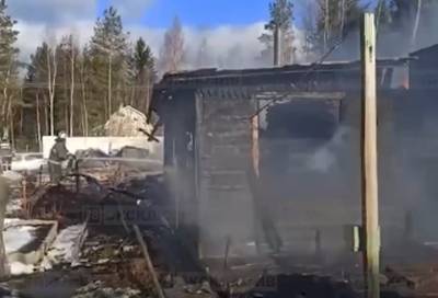 Видео: в поселке Чаща под Гатчиной горит восемь построек - online47.ru - Ленинградская обл. - район Гатчинский