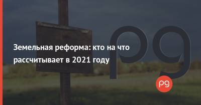 Земельная реформа: кто на что рассчитывает в 2021 году - thepage.ua