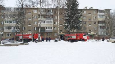 Ольга Врадий - В подмосковном Подольске при пожаре в частном доме погибла трехлетняя девочка - runews24.ru - Московская обл. - Подольск