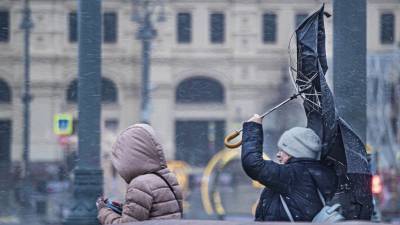 Евгений Тишковец - В Москве продлили «жёлтый» уровень опасности из-за ветра и гололедицы - russian.rt.com - Москва - Московская обл.