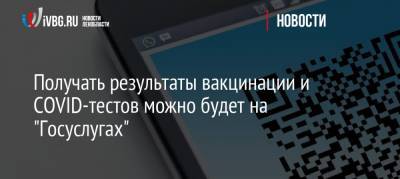 Получать результаты вакцинации и COVID-тестов можно будет на «Госуслугах» - ivbg.ru