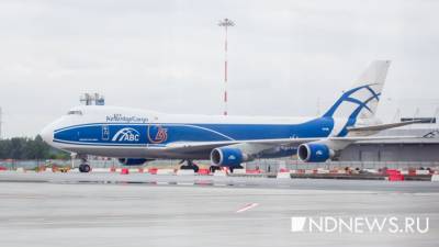 Елен Сычев - В Екатеринбург привезли 101 тонну растительности из Амстердама - newdaynews.ru - Екатеринбург - Амстердам