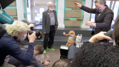 С.М.Киров - Три кота трудоустроились в культурные заведения Петербурга. - riafan.ru - Санкт-Петербург