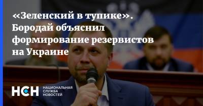 Владимир Зеленский - Александр Бородай - «Зеленский в тупике». Бородай объяснил формирование резервистов на Украине - nsn.fm - Украина - ДНР - Донбасс
