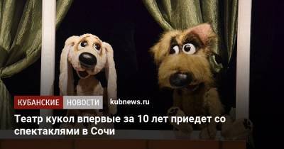 Театр кукол впервые за 10 лет приедет со спектаклями в Сочи - kubnews.ru - Сочи - Краснодарский край - Краснодар