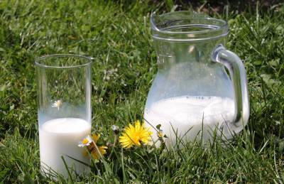 Снижение НДС портит отношения производителей молока с переработчиками - agroportal.ua