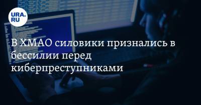 В ХМАО силовики признались в бессилии перед киберпреступниками - ura.news - Югра