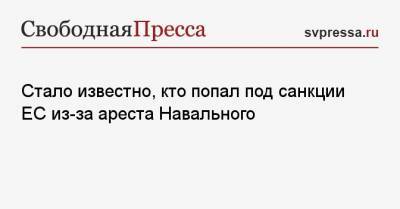 Алексей Навальный - Жозеп Боррель - Виктор Золотов - Александр Бастрыкин - Игорь Краснов - Александр Калашников - Стало известно, кто попал под санкции ЕС из-за ареста Навального - svpressa.ru