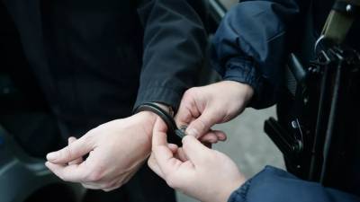 В Петербурге задержан сбивший полицейского водитель - russian.rt.com - Ленинградская обл. - Санкт-Петербург - Череповец